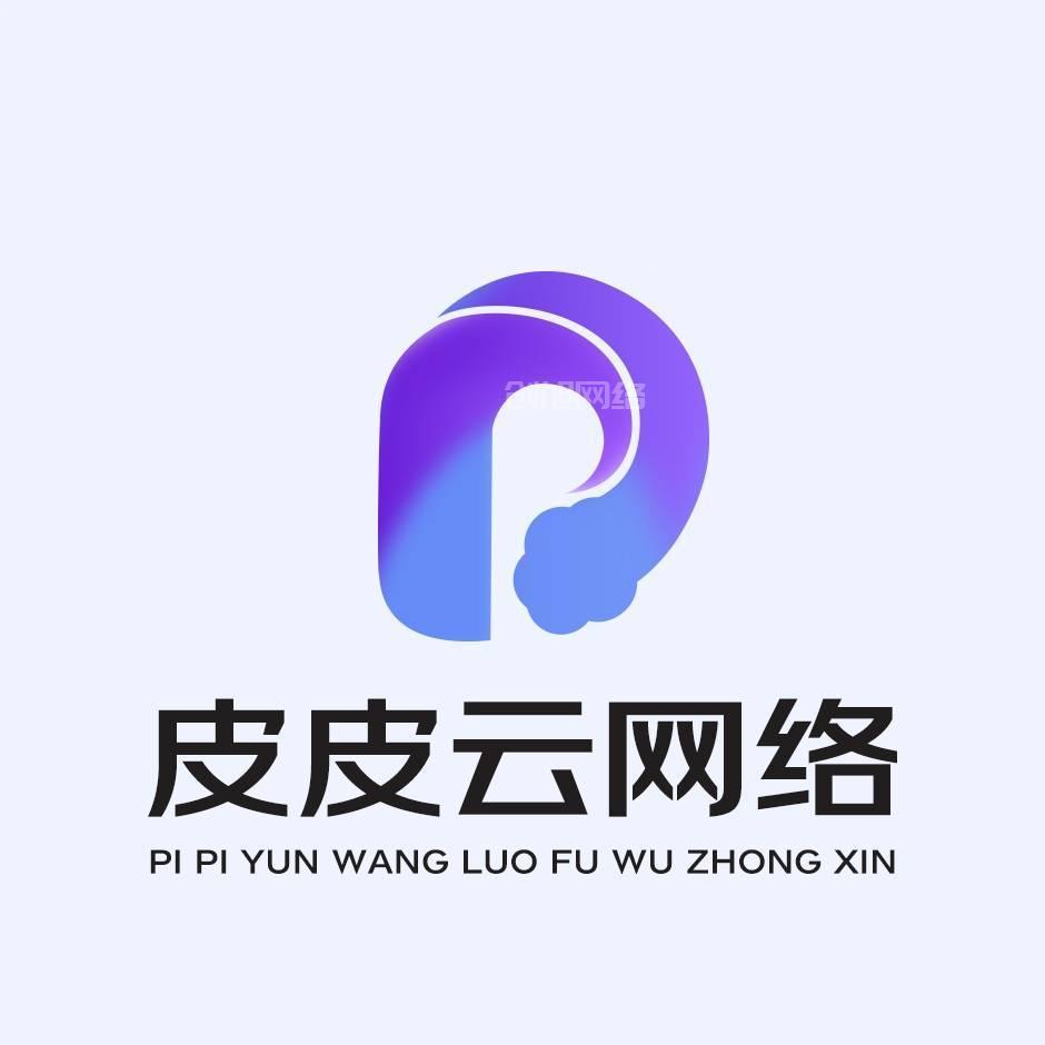 皮皮云科技